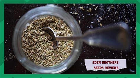 eden brothers seeds